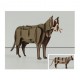 3d animals laser cutting