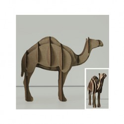  dromedary